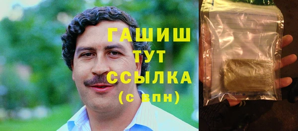 мдпв Богородск
